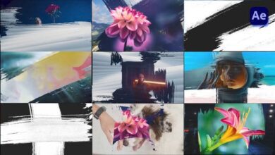 Videohive Paint Brush Transitions Pack [After Effects] 47440134