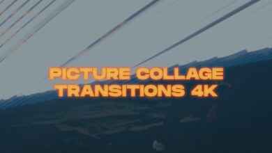 PICTURE COLLAGE TRANSITIONS – Blindusk