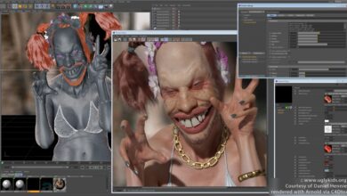 Arnold Render for Cinema 4D 2023 - C4DtoA-4.6.4 (Win only)