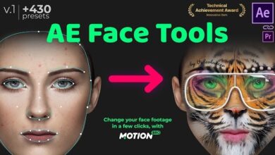 AE Face Tools 5.0 + Motion Bro 4.0.4 (for After Effects)