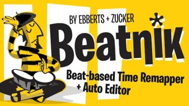 Beatnik 1.04 (for After Effects)