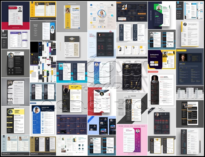 قوالب سيرة ذاتية تقبل التعديل بصيغ PSD & eps