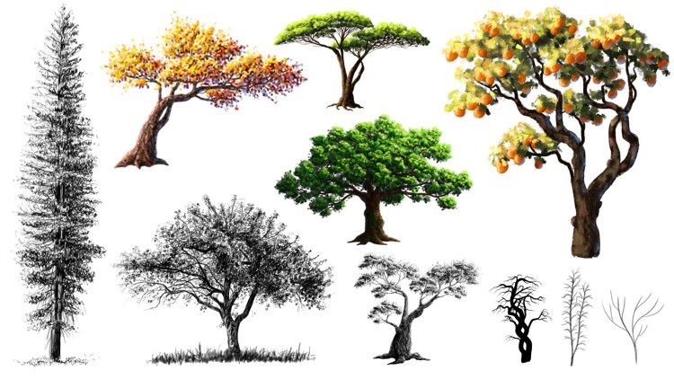 How to Draw/Paint ANY Tree - Full Masterclass with Exercises