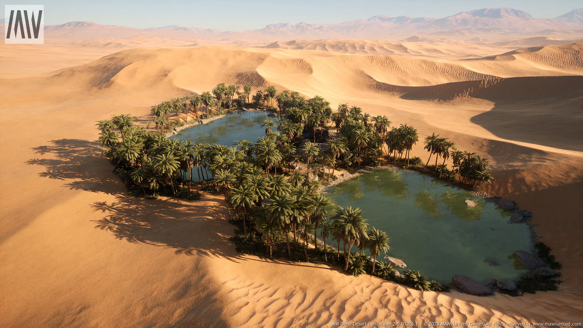 MW Dune Desert Landscape
