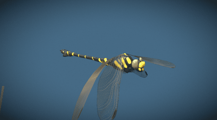Sketchfab - Insects, Bettles and Spiders Bundle - Blender & FBX