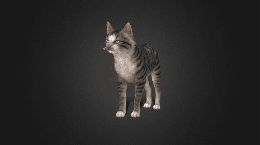 Sketchfab - Cat Bundle - Blender & FBX