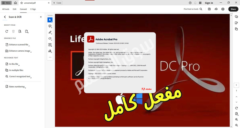 Adobe Acrobat Pro DC 2024.003.20180 Multilingual