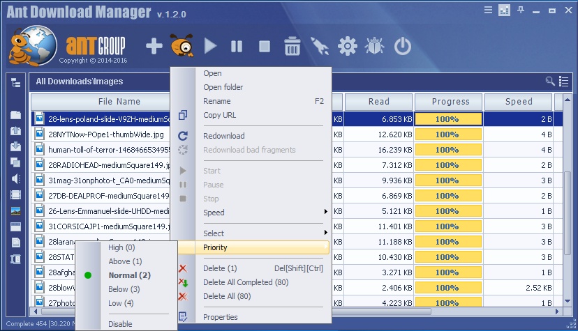 Ant Download Manager Pro 2.14.1.88710 FULL