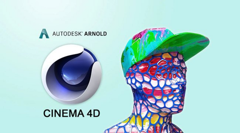 Arnold for Houdini 6.3.6 | Arnold for Cinema 4D 4.7.9 (2023-2025) | Arnold for 3ds Max 5.7.7 (2023-2025) | Arnold for Maya 5.4.7 (2023-2025)