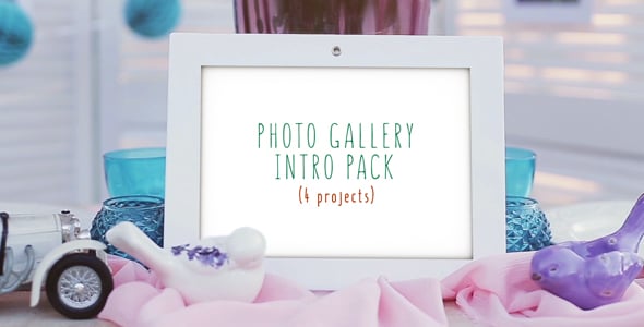 Videohive Photo Gallery Intro Pack 17075690