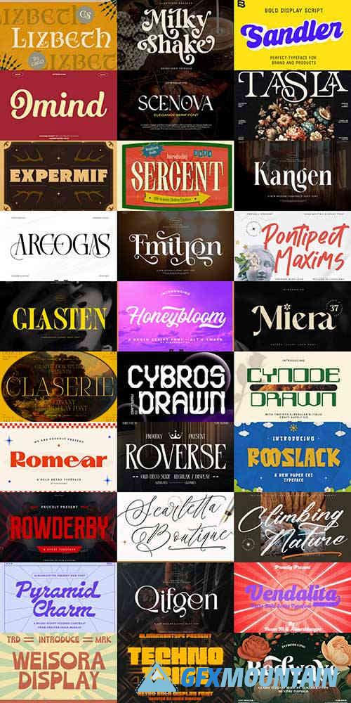 Paid Fonts Bundle 14-02-2025