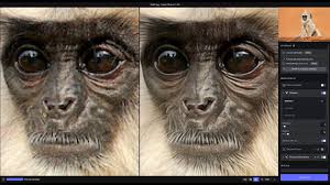Topaz Photo AI 3.5.0 Full Version