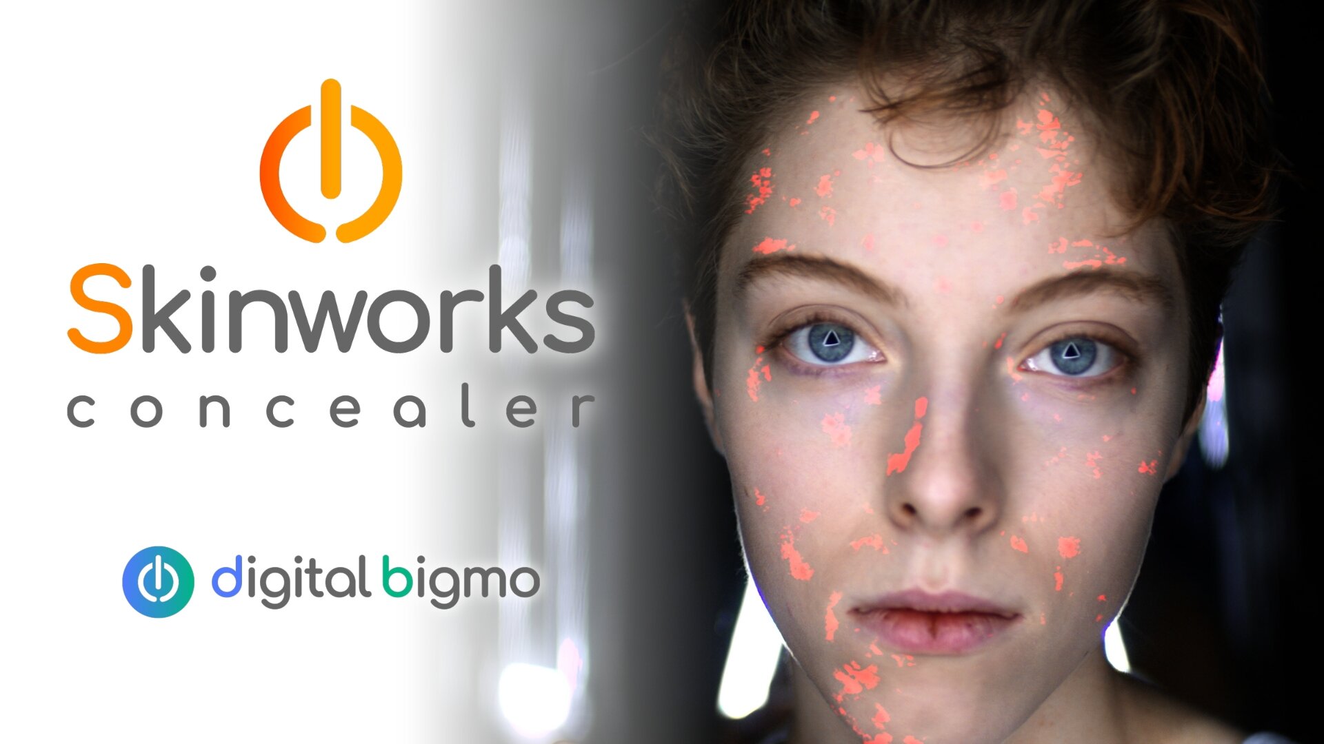 digitalbigmo - Skinworks 2024.11.00 Full