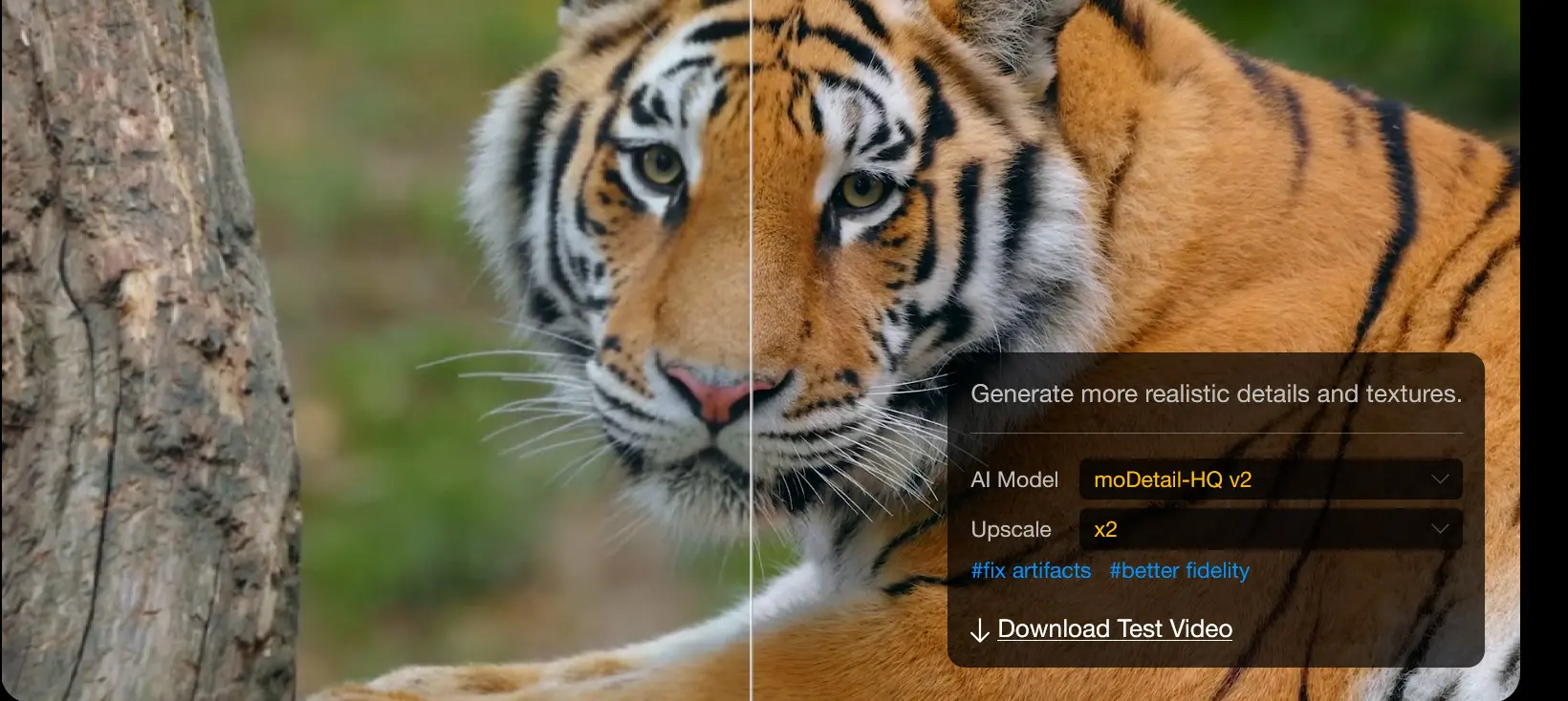 Digiarty Aiarty Video Enhancer 2.0 Portable