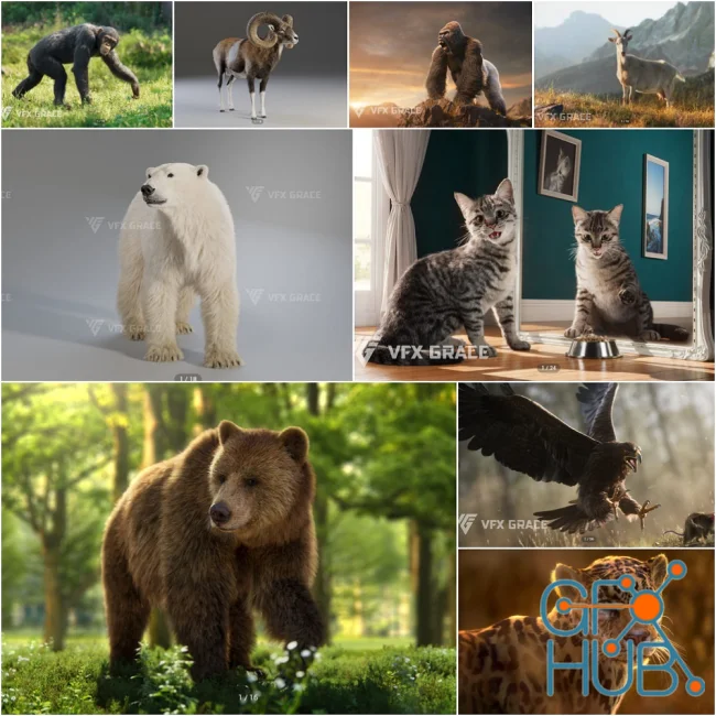 VFX Grace 3D Animals Bundle June 2025