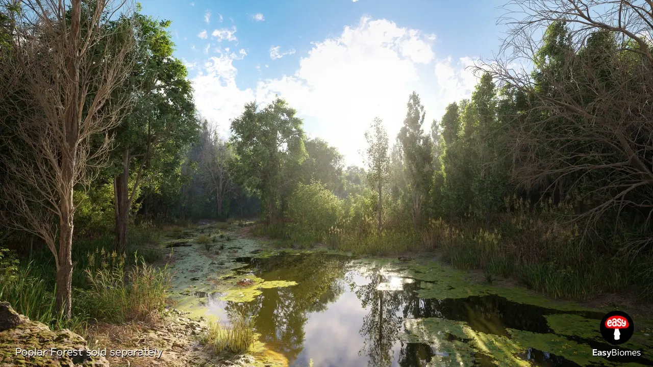 Unreal Engine assets - PCG Biome River Generator