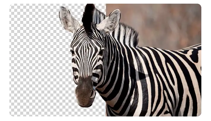 تحميل كامل Ashampoo Background Remover⁠ 2.0.2