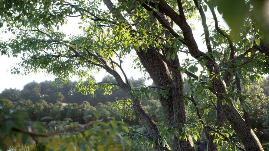 Evermotion - Archmodels for Corona