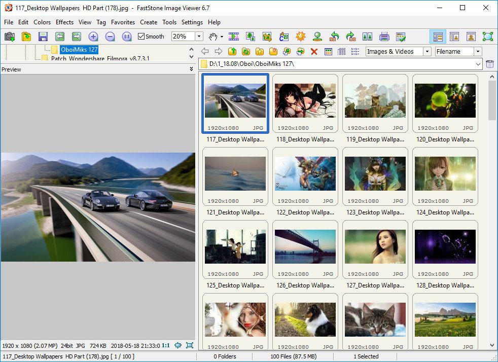 FastStone Image Viewer 8.1 Corporate + Portable