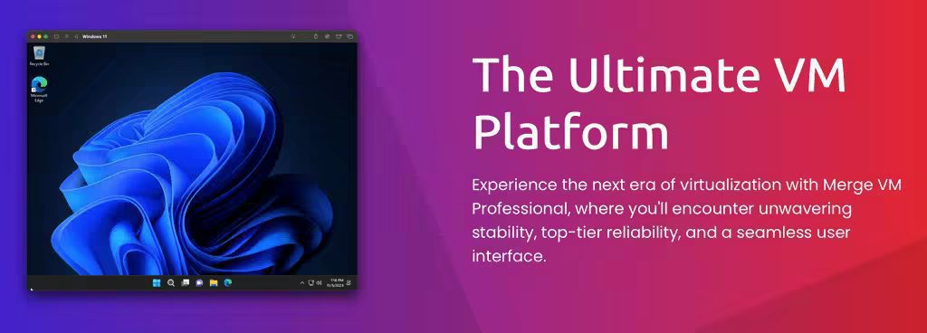 Merge VM Professional 24.01.30