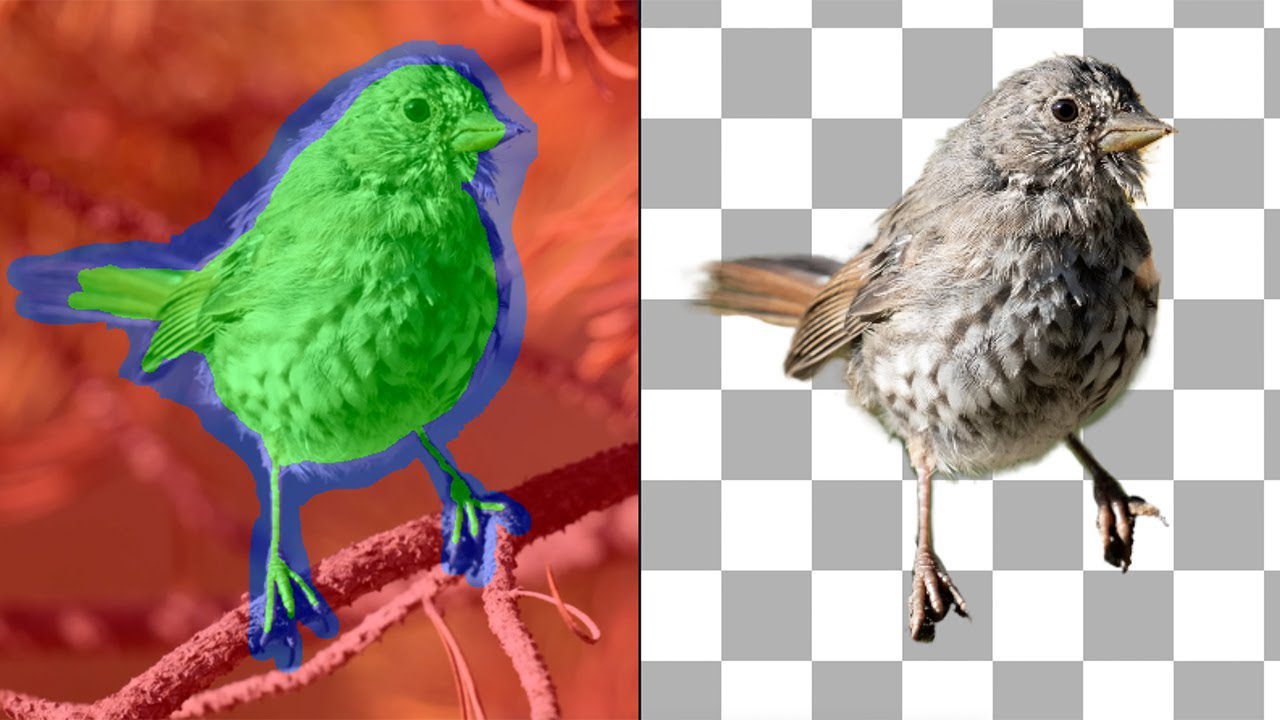 تحميل مباشر اصدار جديد برنامج ازلة الخلفية عن طريق الذكاء الاصطناعي مفعل Topaz Mask AI 1.3.6