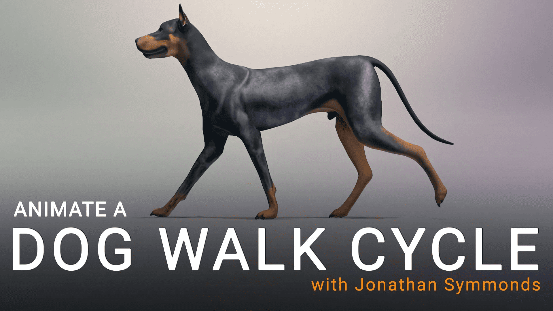 Sophoria Academy - Dog Walk And Run Cycle 8 Sophoria Academy - Dog Walk And Run Cycle