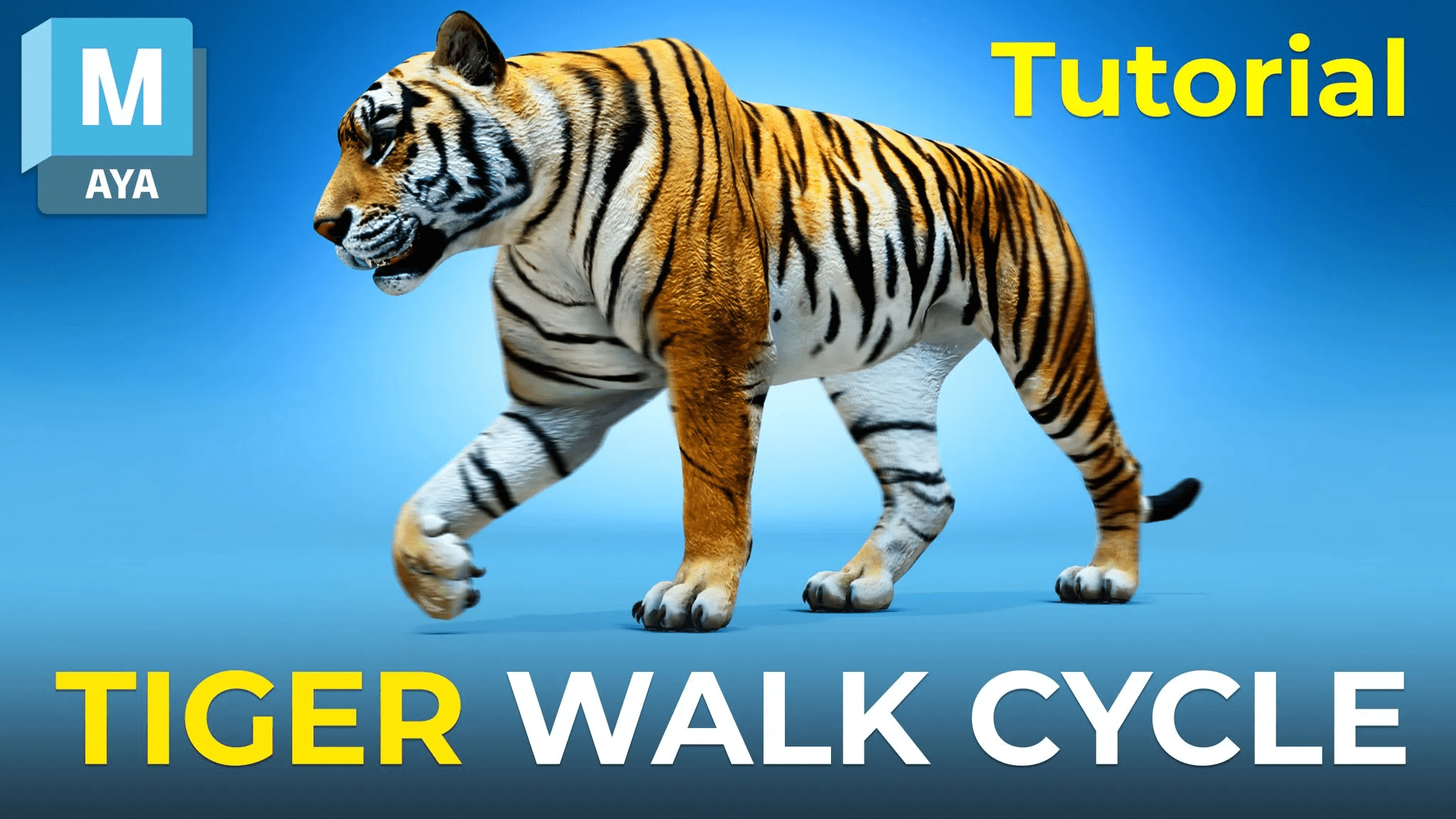 Sophoria Academy - How to Animate a Tiger Walk Cycle 5 Sophoria Academy - How to Animate a Tiger Walk Cycle
