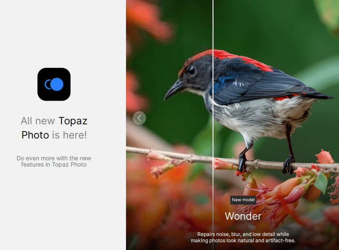 تحميل مفعل مكرك Topaz Photo Pro 1.3.0 7 تحميل مفعل مكرك Topaz Photo Pro 1.3.0