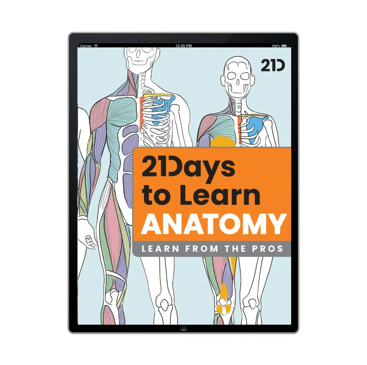 21 Draw - LEARN ANATOMY IN 21 DAYS with Rodgon 10 21 Draw - LEARN ANATOMY IN 21 DAYS with Rodgon