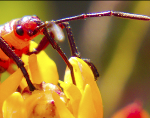 تحميل إضافة RE:Zup لبرنامج After Effects – الحل الاحترافي لرفع جودة الفيديو إلى 4K و 8K لعام 2026