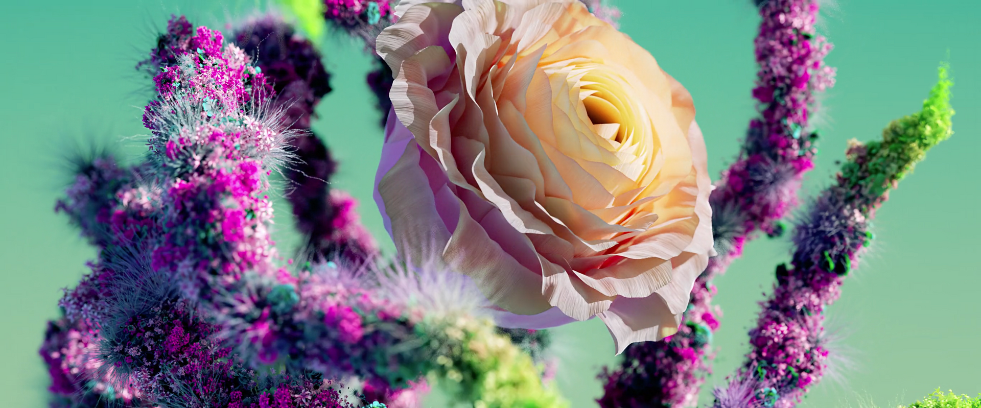 Patreon - Ian Frederick