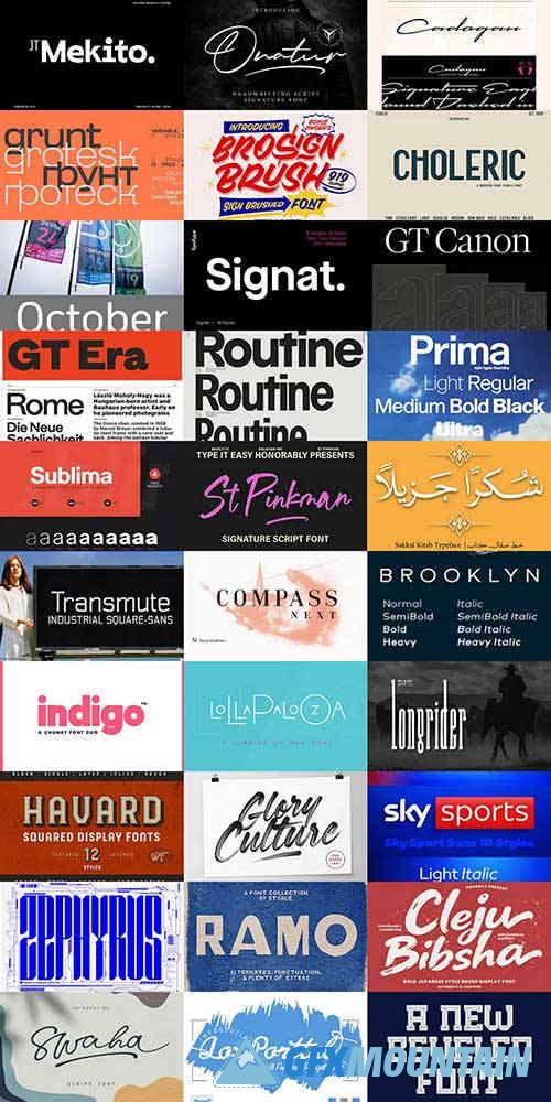 Special Fonts Bundle – مجموعة الخطوط الاحترافية الشاملة للمصممين