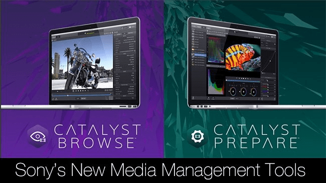 Sony Catalyst Browse / Prepare Suite 2026.1 11 Sony Catalyst Browse / Prepare Suite 2026.1