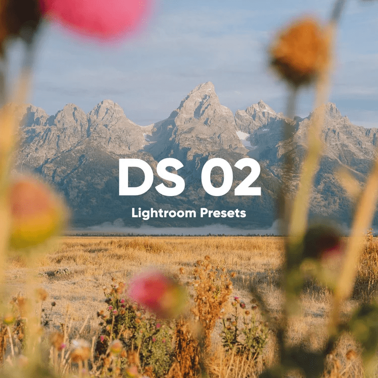 تحميل حزمة فلاتر DS PRESETS 02 لبرنامج لايت روم | الألوان السينمائية الكلاسيكية