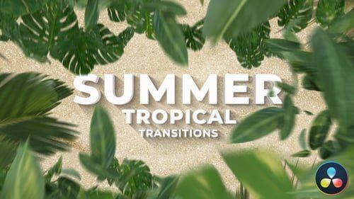 Tropical Palm Leaf Transitions for Summer and Travel Videos - AFVHED4 13 Tropical Palm Leaf Transitions for Summer and Travel Videos - AFVHED4
