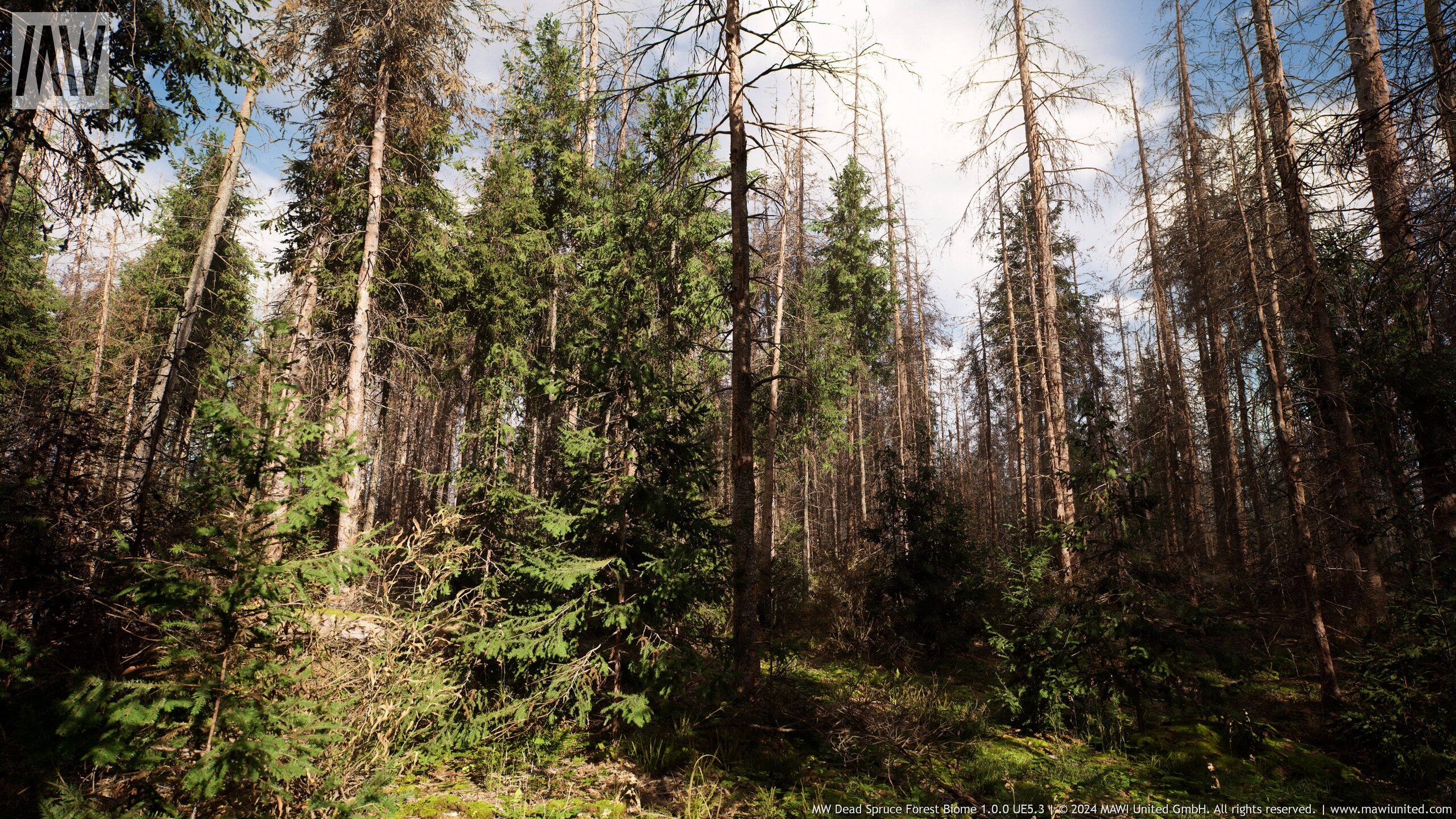 Unreal Engine - MW Dead Spruce Forest Trees Biome
