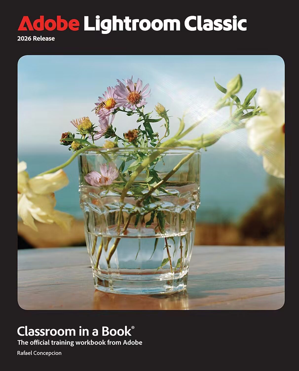 Adobe Lightroom Classic Classroom in a Book 2026 Release (True EPUB) 1 Adobe Lightroom Classic Classroom in a Book 2026 Release (True EPUB)