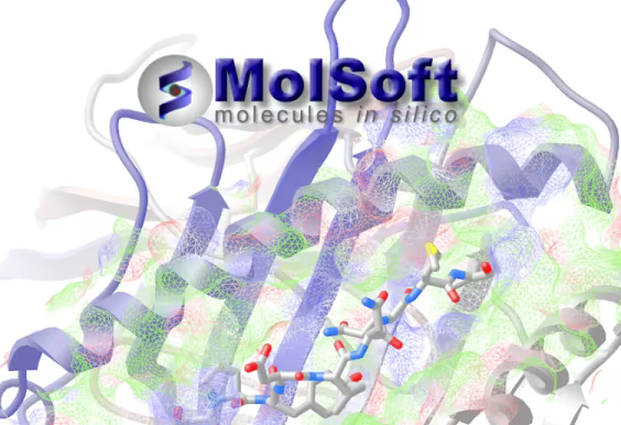 Molsoft ICM-Pro v3.9-5 (x64) 29 Molsoft ICM-Pro v3.9-5 (x64)